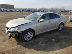 Salvage cars for sale at Kansas City, KS auction: 2011 Lexus ES 350