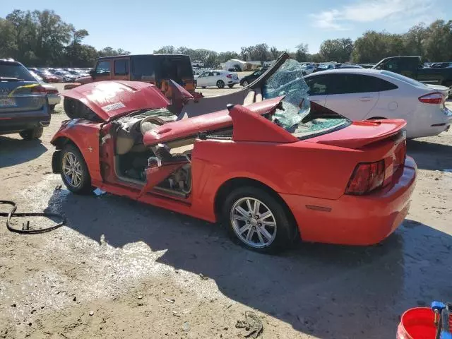 2000 Ford Mustang