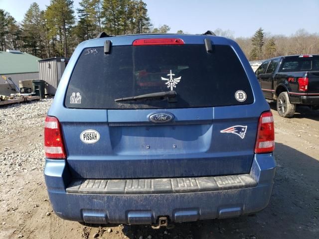 2010 Ford Escape XLT