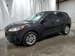 Salvage cars for sale from Copart Albany, NY: 2021 Ford Escape SE
