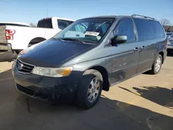 Salvage cars for sale from Copart Louisville, KY: 2003 Honda Odyssey EXL
