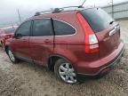 2007 Honda CR-V EXL