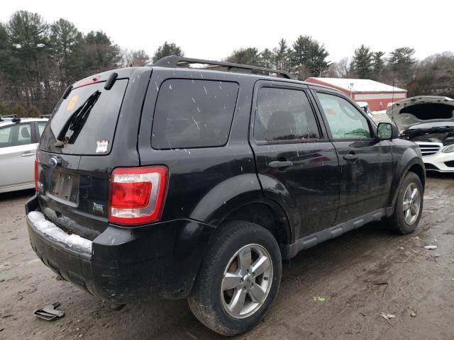 2011 Ford Escape XLT