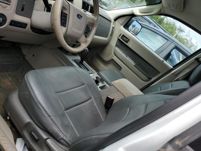 2009 Ford Escape XLT