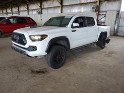 Salvage cars for sale from Copart Phoenix, AZ: 2019 Toyota Tacoma Double Cab