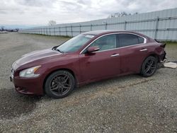 Salvage cars for sale at Anderson, CA auction: 2013 Nissan Maxima S