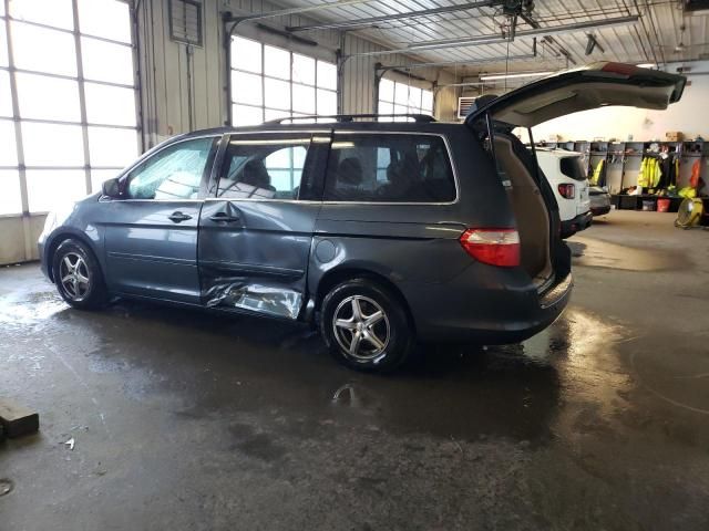 2005 Honda Odyssey Touring