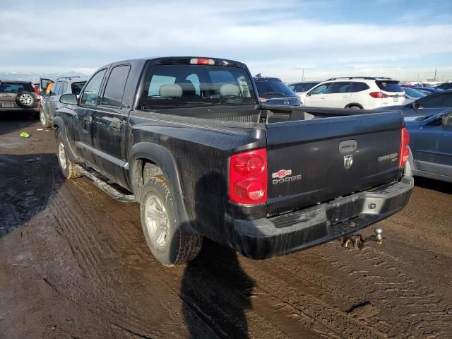 2010 Dodge Dakota SXT