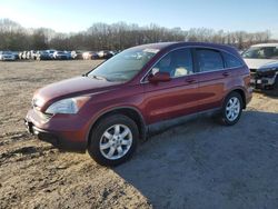 2009 Honda CR-V EXL for sale in Conway, AR