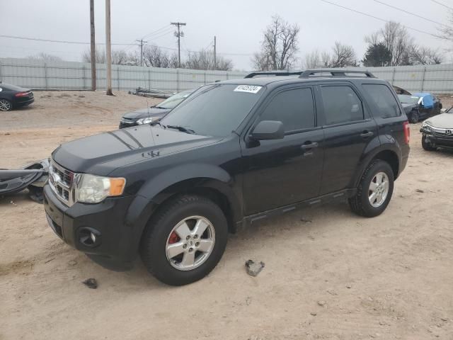 2010 Ford Escape XLT