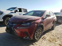 Salvage cars for sale from Copart Houston, TX: 2021 Lexus NX 300 Base