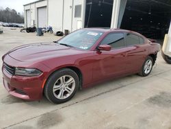 Dodge Charger salvage cars for sale: 2019 Dodge Charger SXT