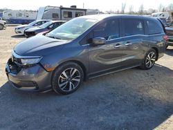 Vehiculos salvage en venta de Copart Lawrenceburg, KY: 2023 Honda Odyssey Touring