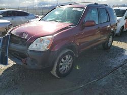 Honda salvage cars for sale: 2005 Honda CR-V EX