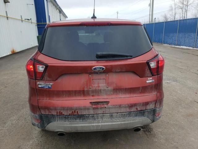 2019 Ford Escape SE