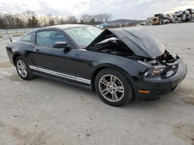 2010 Ford Mustang