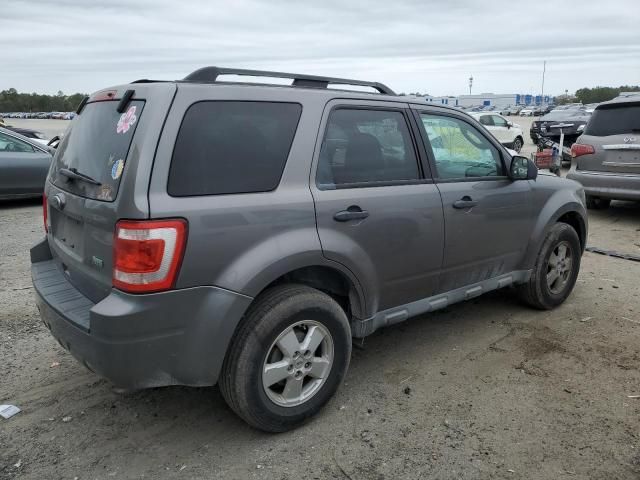 2010 Ford Escape XLT