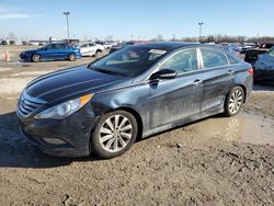 2014 Hyundai Sonata SE for sale in Indianapolis, IN