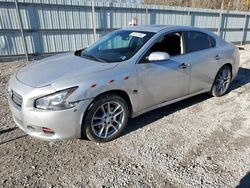 2013 Nissan Maxima S for sale in Hurricane, WV