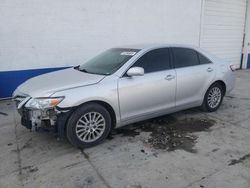 Salvage cars for sale from Copart Farr West, UT: 2010 Toyota Camry Base