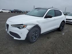 Alfa Romeo Stelvio TI salvage cars for sale: 2019 Alfa Romeo Stelvio TI