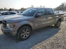 Ford F-150 salvage cars for sale: 2014 Ford F150 Supercrew