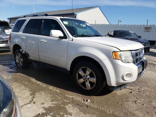 2012 Ford Escape Limited