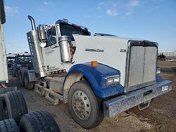 Salvage cars for sale from Copart Amarillo, TX: 2019 Western Star Conventional 4900FA