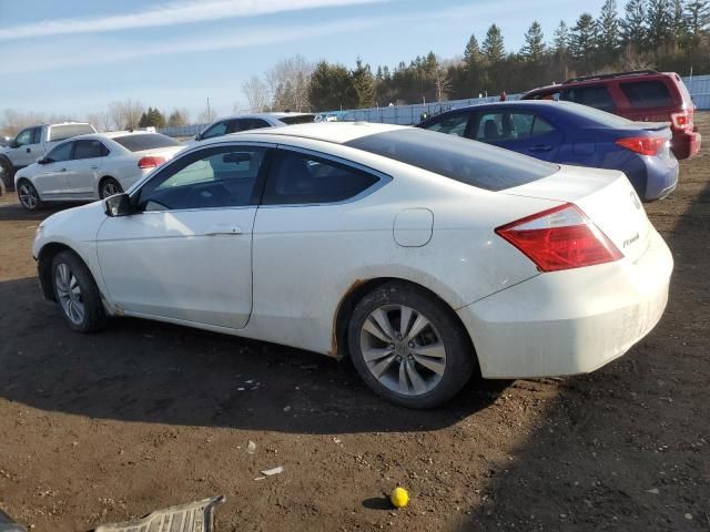 2010 Honda Accord EXL