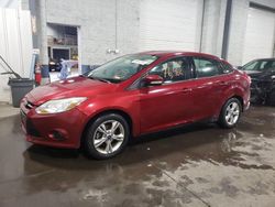 Ford Focus salvage cars for sale: 2013 Ford Focus SE