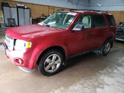 Vehiculos salvage en venta de Copart Kincheloe, MI: 2012 Ford Escape XLT