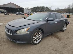Salvage cars for sale at Greenwell Springs, LA auction: 2010 Nissan Maxima S