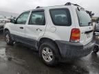 2005 Ford Escape XLS