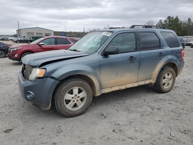 2010 Ford Escape XLT