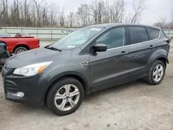 Salvage cars for sale at Leroy, NY auction: 2016 Ford Escape SE