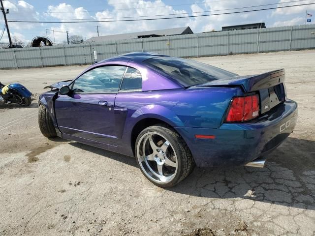 2004 Ford Mustang Cobra SVT