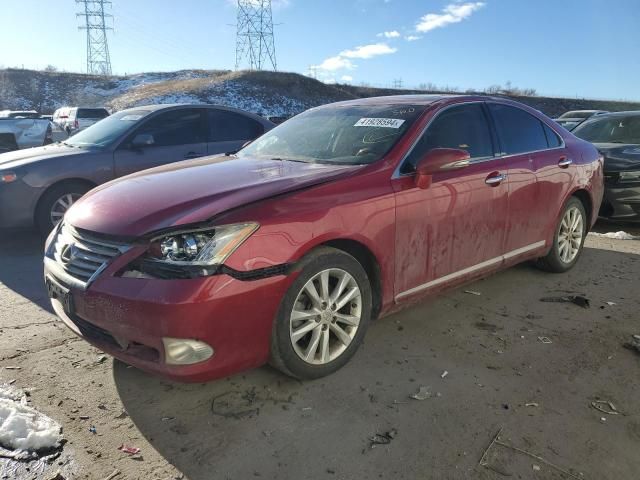 2010 Lexus ES 350