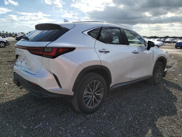 2024 Lexus NX 250 Premium