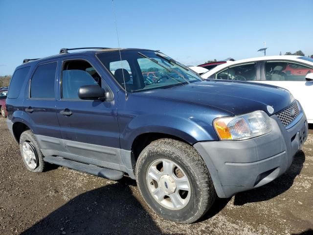 2003 Ford Escape XLT