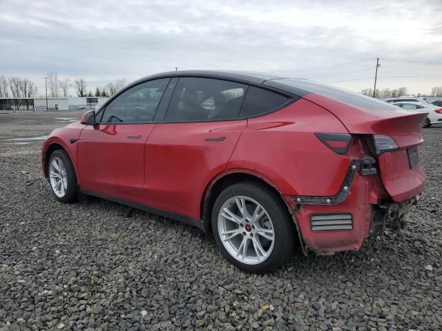 2020 Tesla Model Y