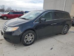 Salvage cars for sale from Copart Lawrenceburg, KY: 2013 Honda Odyssey EXL