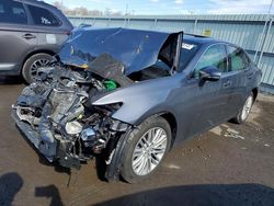 Salvage cars for sale at Pennsburg, PA auction: 2016 Lexus ES 350
