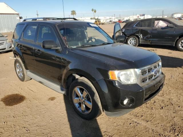 2010 Ford Escape Limited