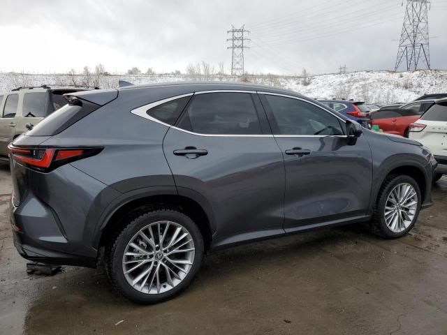 2024 Lexus NX 350 Luxury