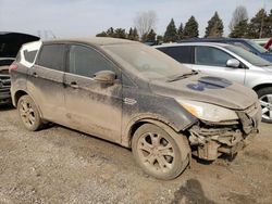 Salvage cars for sale at Dyer, IN auction: 2013 Ford Escape SEL