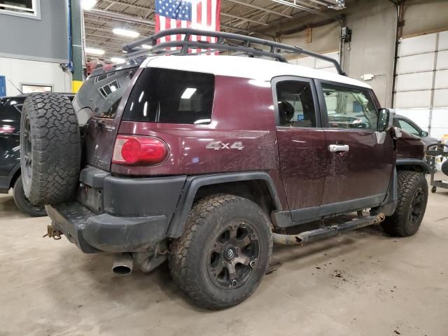 2007 Toyota FJ Cruiser