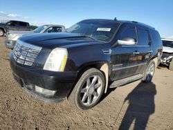 Cadillac Vehiculos salvage en venta: 2008 Cadillac Escalade Luxury