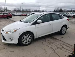 Salvage cars for sale at Fort Wayne, IN auction: 2012 Ford Focus SE