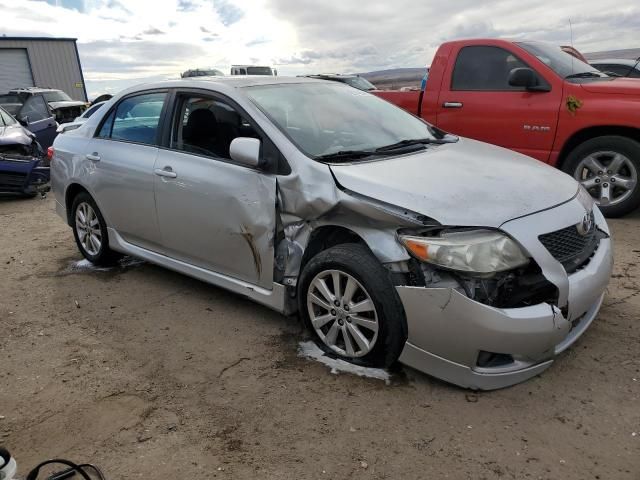 2010 Toyota Corolla Base