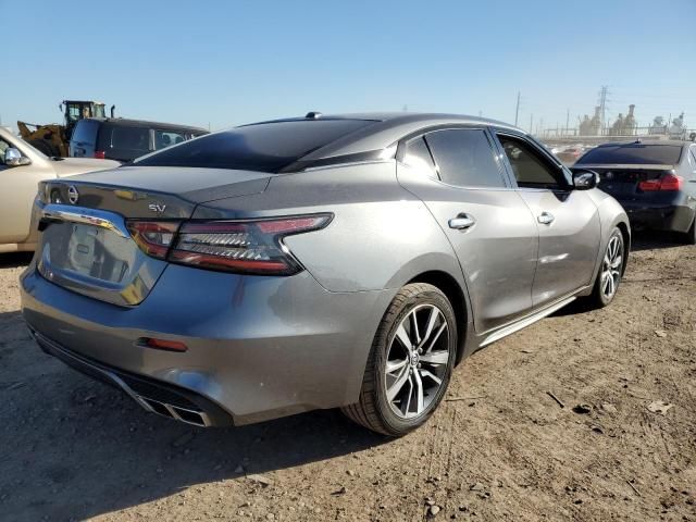 2019 Nissan Maxima S